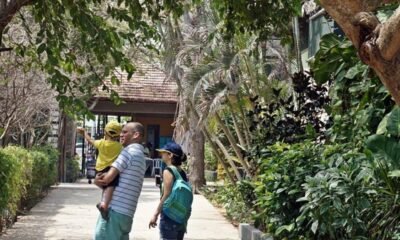 Zoológico de Barranquilla, listo para celebrar el día de la niñez