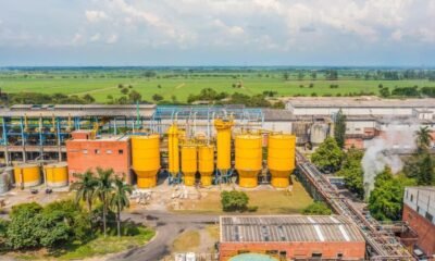 Pedro Carvajal, Sobre Cierre de Operación de Propal en Yumbo