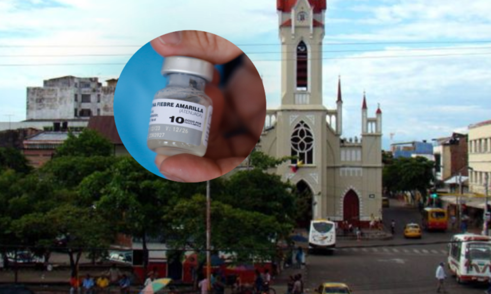 Detectaron el Primer Caso de Fiebre Amarilla en Girardot; El Alcalde Les Hizo Llamado A Los Turistás y Habitantes