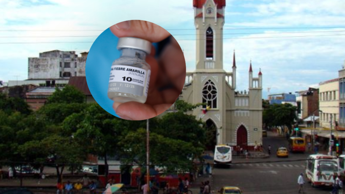 Detectaron el Primer Caso de Fiebre Amarilla en Girardot; El Alcalde Les Hizo Llamado A Los Turistás y Habitantes