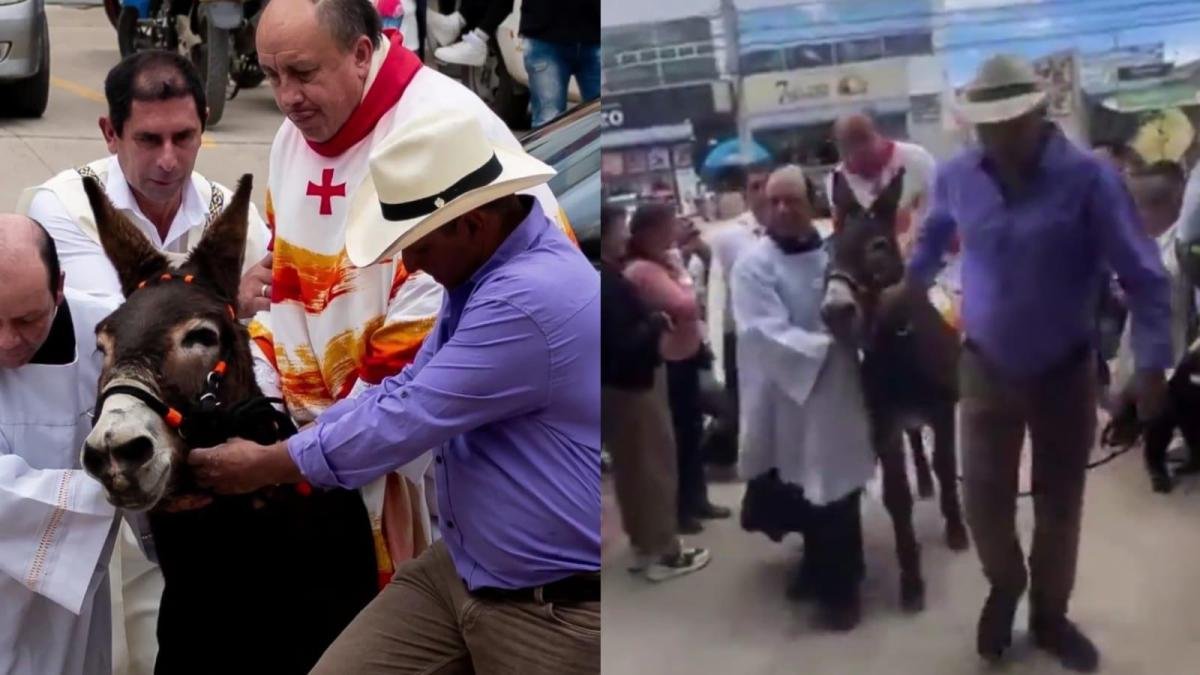 Indignación por sacerdota que usó una burra en zipaquirá para itarra a iglesia en semana santa: Alcaldía respondió