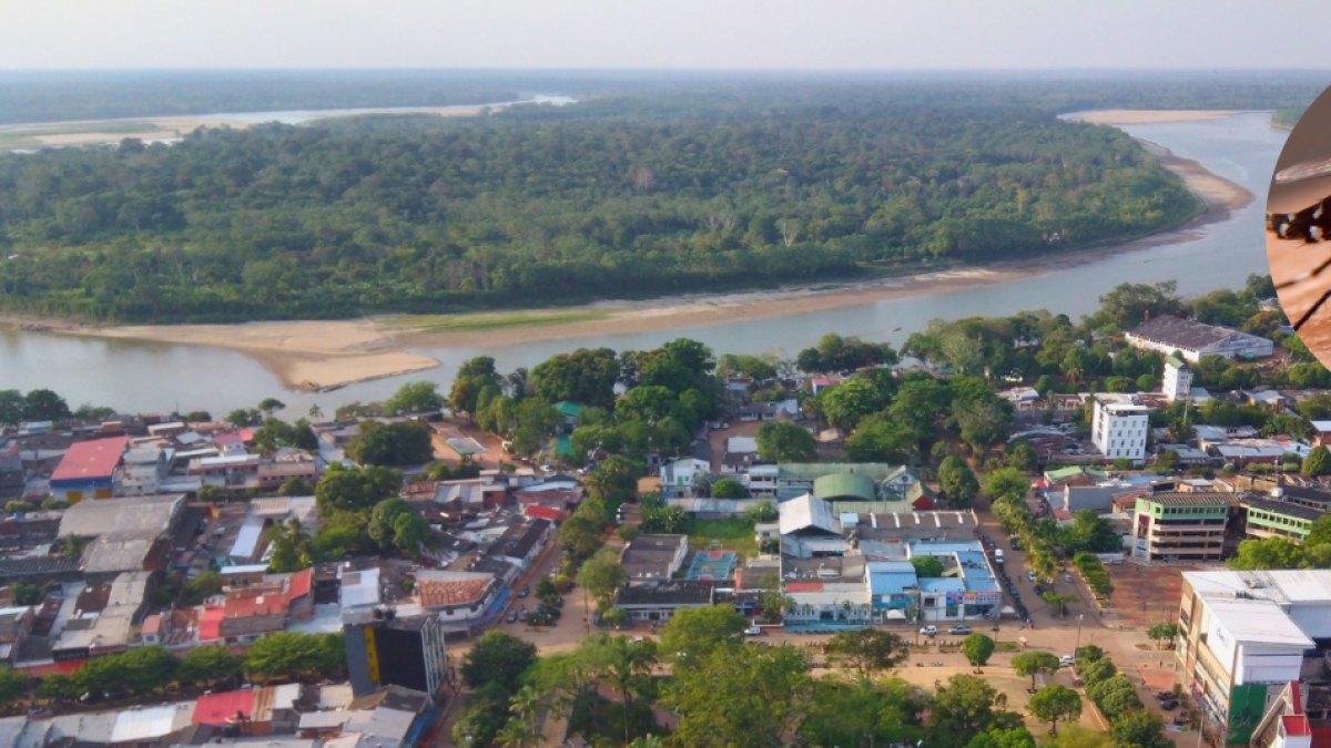 Fallece Niño de la Etnia Jiw por Fiebre Amarilla