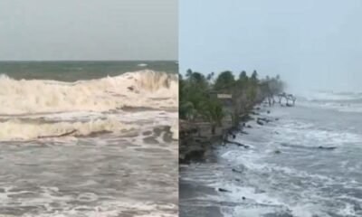 VIDEO DE COCODRILO EN PLAYAS DE SAN BERNARDO DEL VIENTO