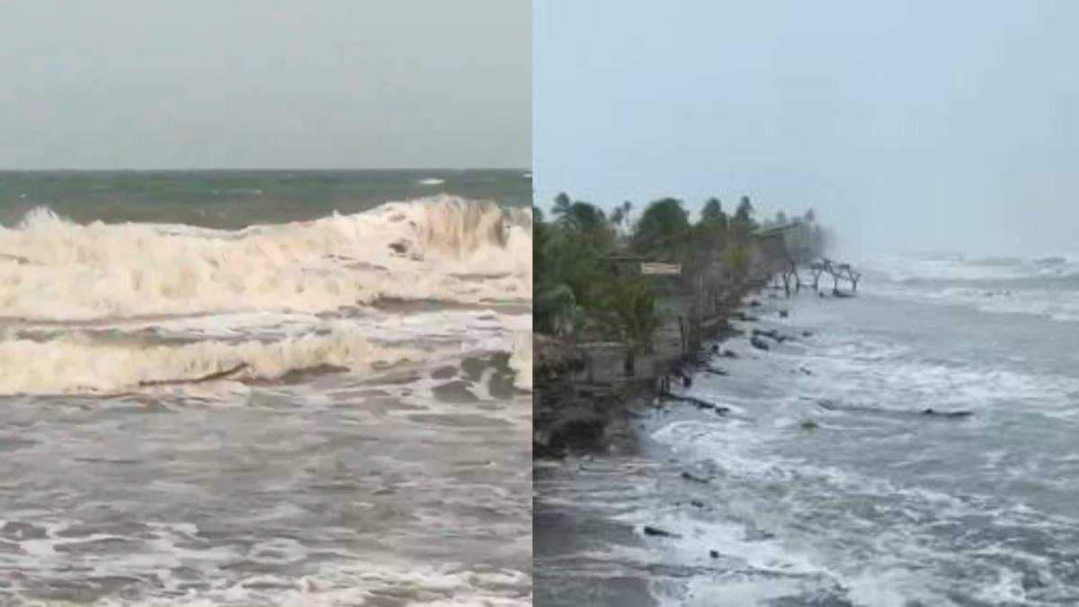 VIDEO DE COCODRILO EN PLAYAS DE SAN BERNARDO DEL VIENTO
