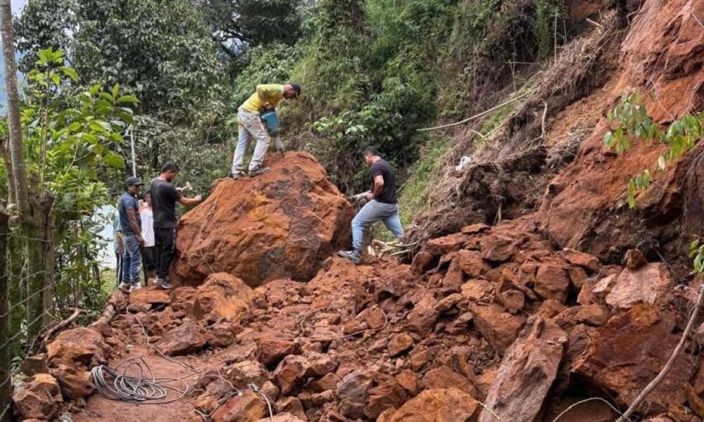 Uno, en vía al mar y otro, en zona de la buitrera