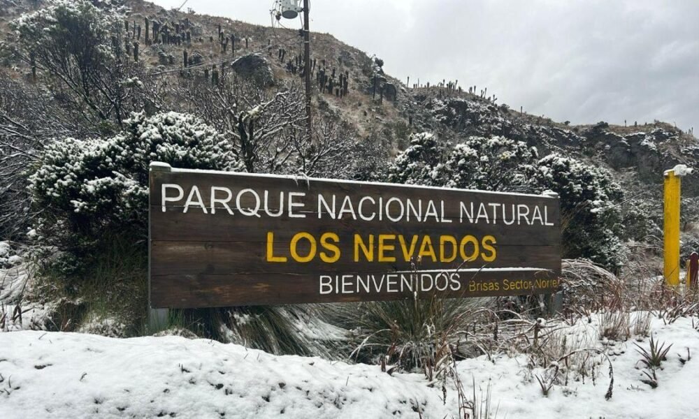 ESTO ES LO QUE DEBE SABER