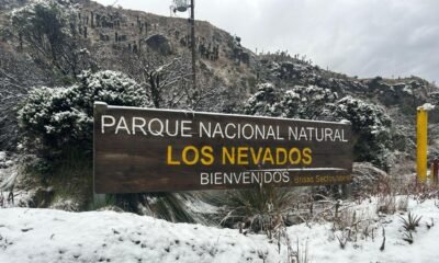 ESTO ES LO QUE DEBE SABER