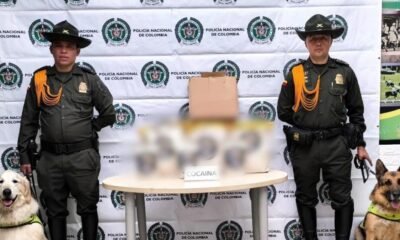 Policía Evitó que Cocaína Llegara A Europa desde Bogotá