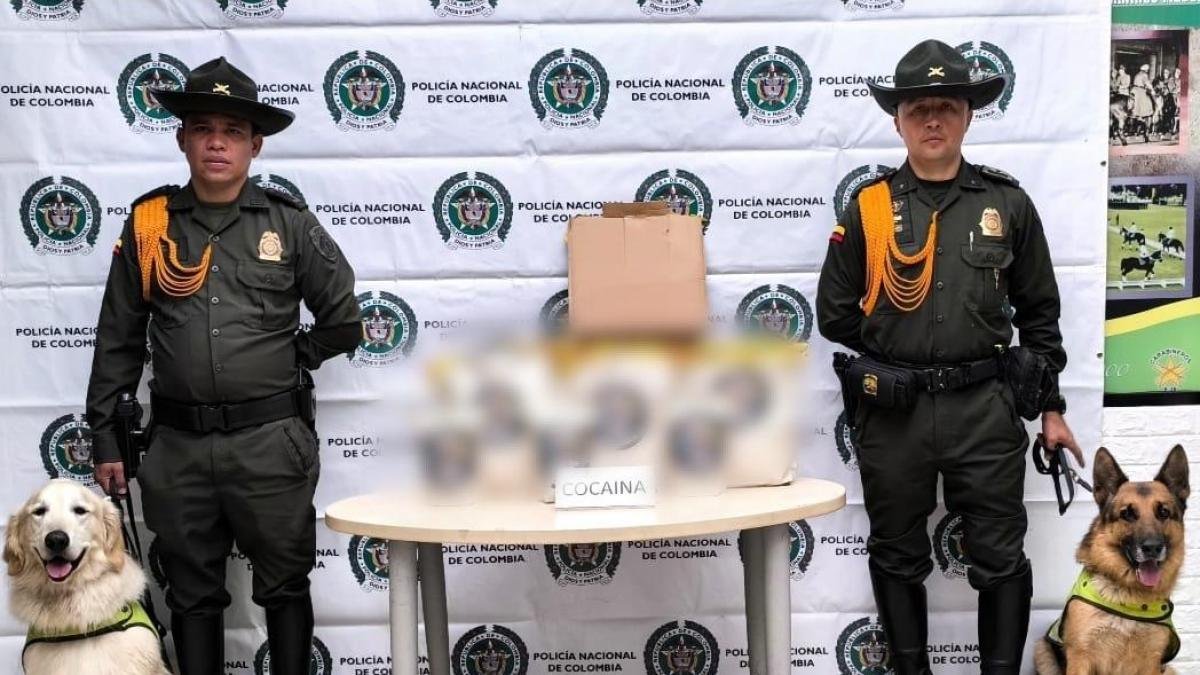 Policía Evitó que Cocaína Llegara A Europa desde Bogotá