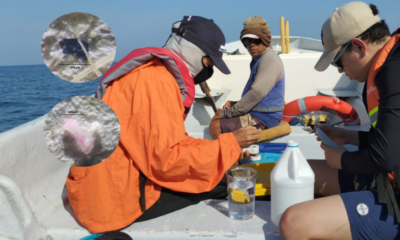 la amenaza invisible que pone en riesgo la biodiversidad marina del atlánico