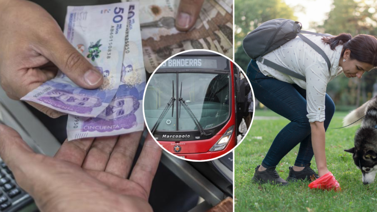 ¿Cuánto Debe pagar si no recoge las heces de su perro o evade el pago de transmilenio?