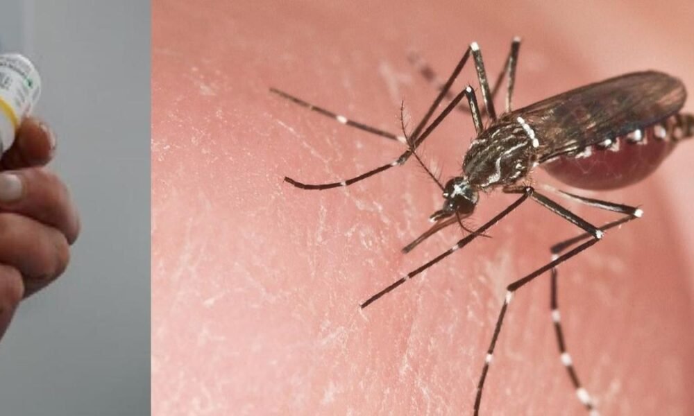 este es su reporte de salud