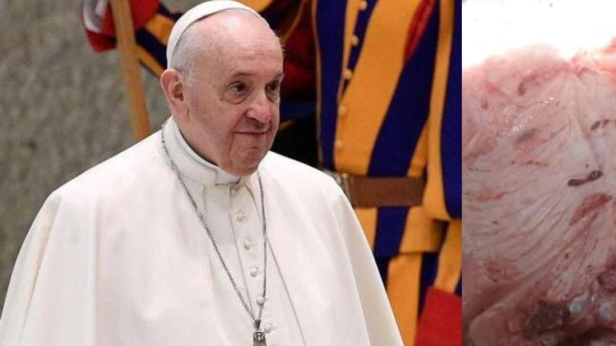 ¿Milagro en río San Jorge? Aparece Supuestón Rostro de Papa Francisco en la Piel de Un Pescado en Pueblo de Colombia