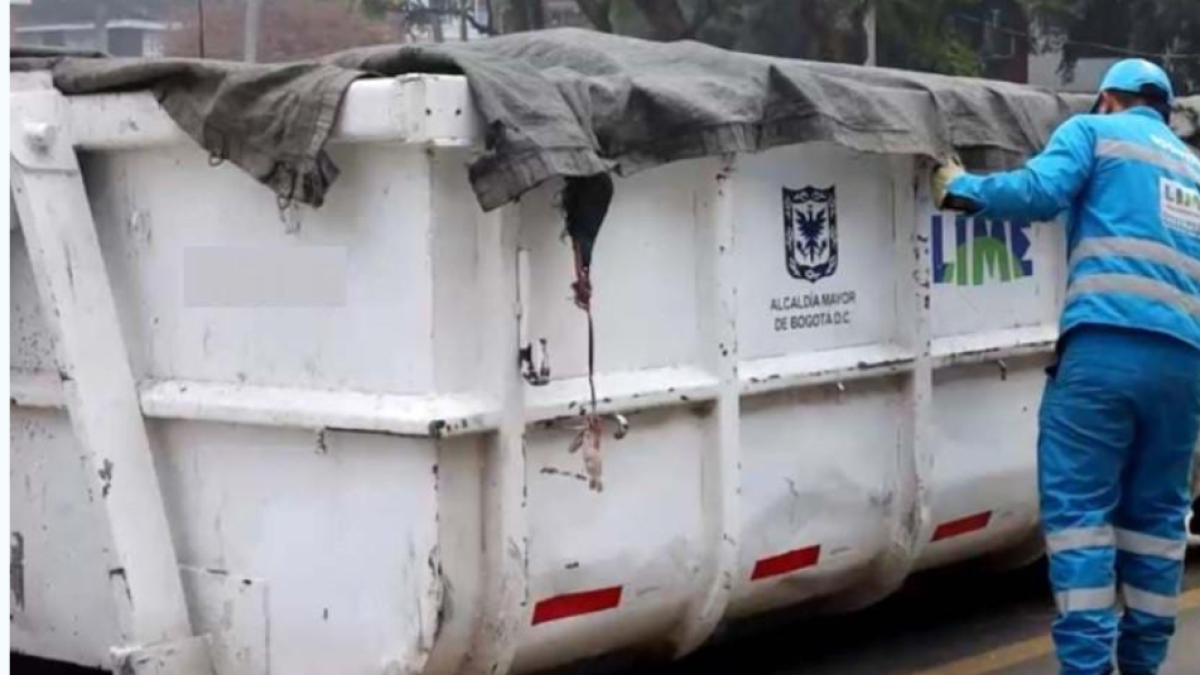 Los Puntos Donde Puede Llevar Esbros y Muebles