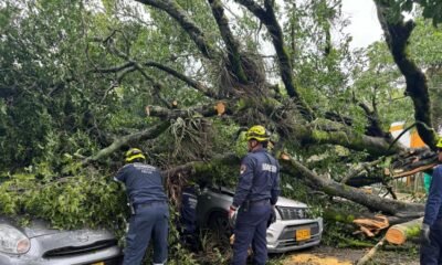 Huila y Tolima se Ven Afectados por lluvias y Vendavales: Hay Municipios en Altaza Roja por Deslizamientos