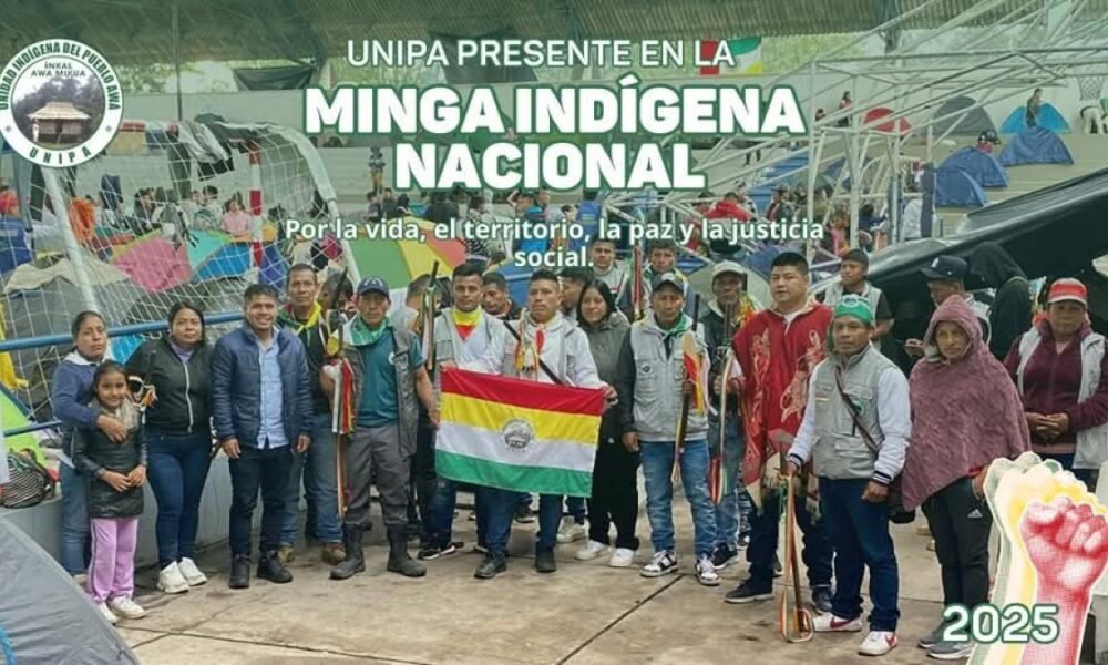 ¿Por Qué més de 300 Indígenas Llegarán un pasto? Estos Son Sus Regesos Dentro de Una Minga