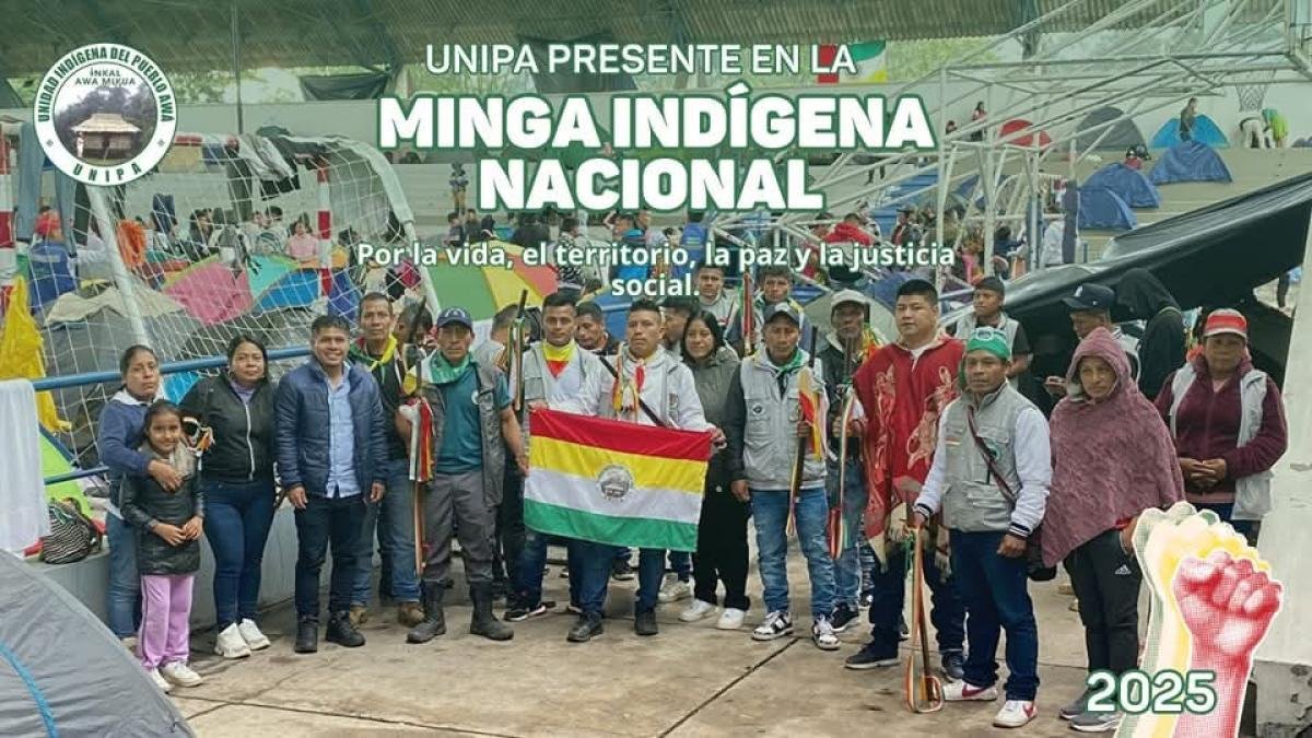 ¿Por Qué més de 300 Indígenas Llegarán un pasto? Estos Son Sus Regesos Dentro de Una Minga