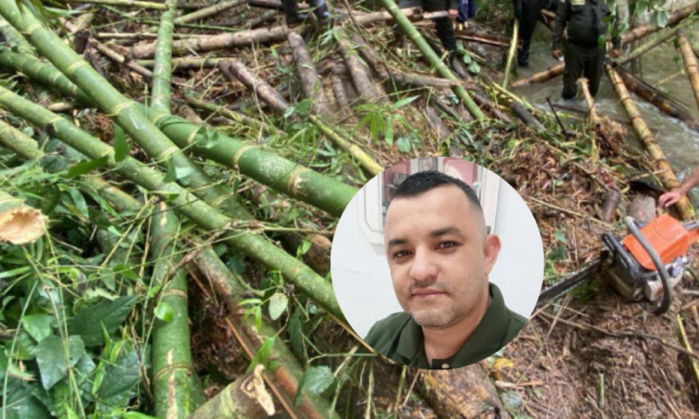 desapareció luego de visitar a su familia