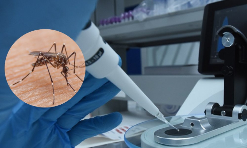 La Unisimón Propone Inteligencia para el para Fortalécer el Control de la Fiebre Amarilla en Colombia