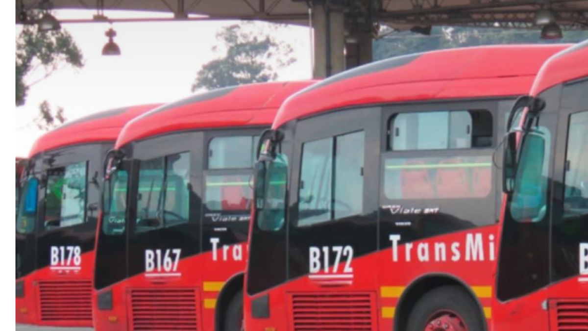 Así Serán Los Nueva Topos de Sillas de Los Buses Eléctricos de Transmilenio; Habrá para Personas de Talla Grande