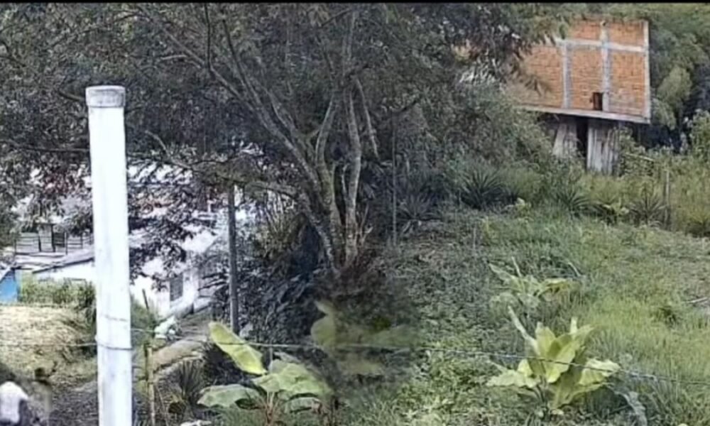 Hombre Señalado de Abusar de Su Hijastra Fue Captado en Video al ser Linchado por Comunidad de Santa Rosa de Cabal