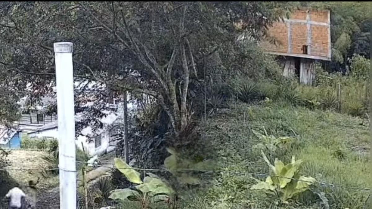 Hombre Señalado de Abusar de Su Hijastra Fue Captado en Video al ser Linchado por Comunidad de Santa Rosa de Cabal