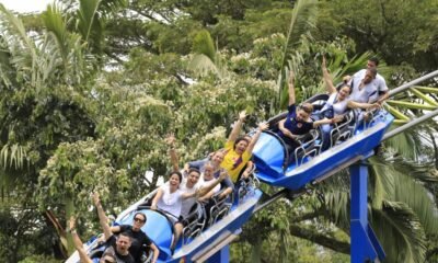 consulte las fechas ideales para planear sus viajes