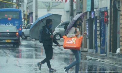 Los Cinco Barrios del Sur de Bogotá que Enfrentan Condicatos cryticas de Hábitabilidad, Según Estudio Académico