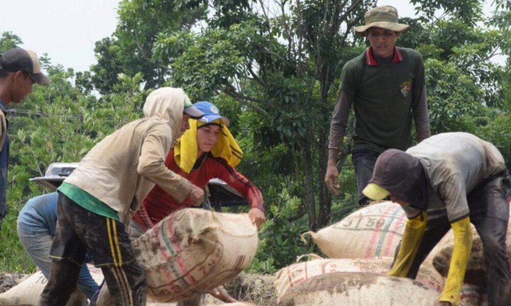 Arroceros Alertan Incumplimientos de Gobierno en Acuerdos Firmados y, de Nueva