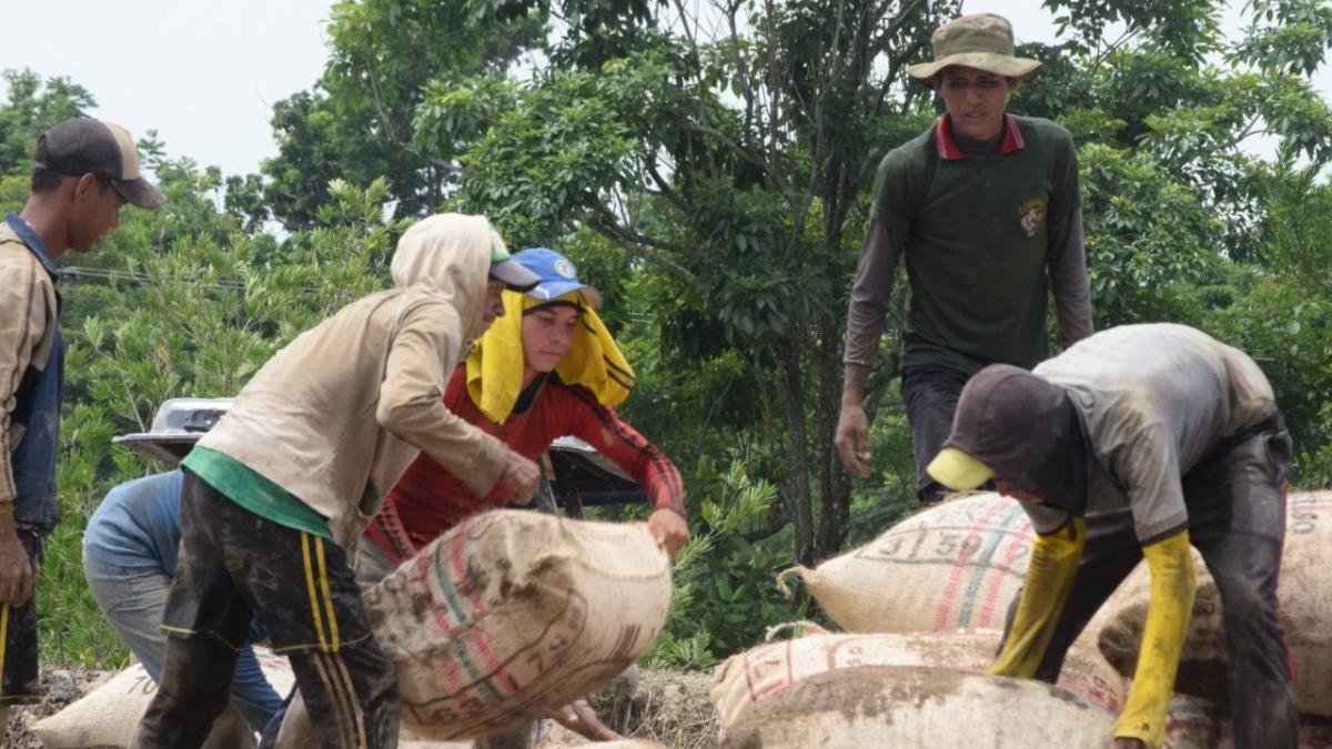 Arroceros Alertan Incumplimientos de Gobierno en Acuerdos Firmados y, de Nueva