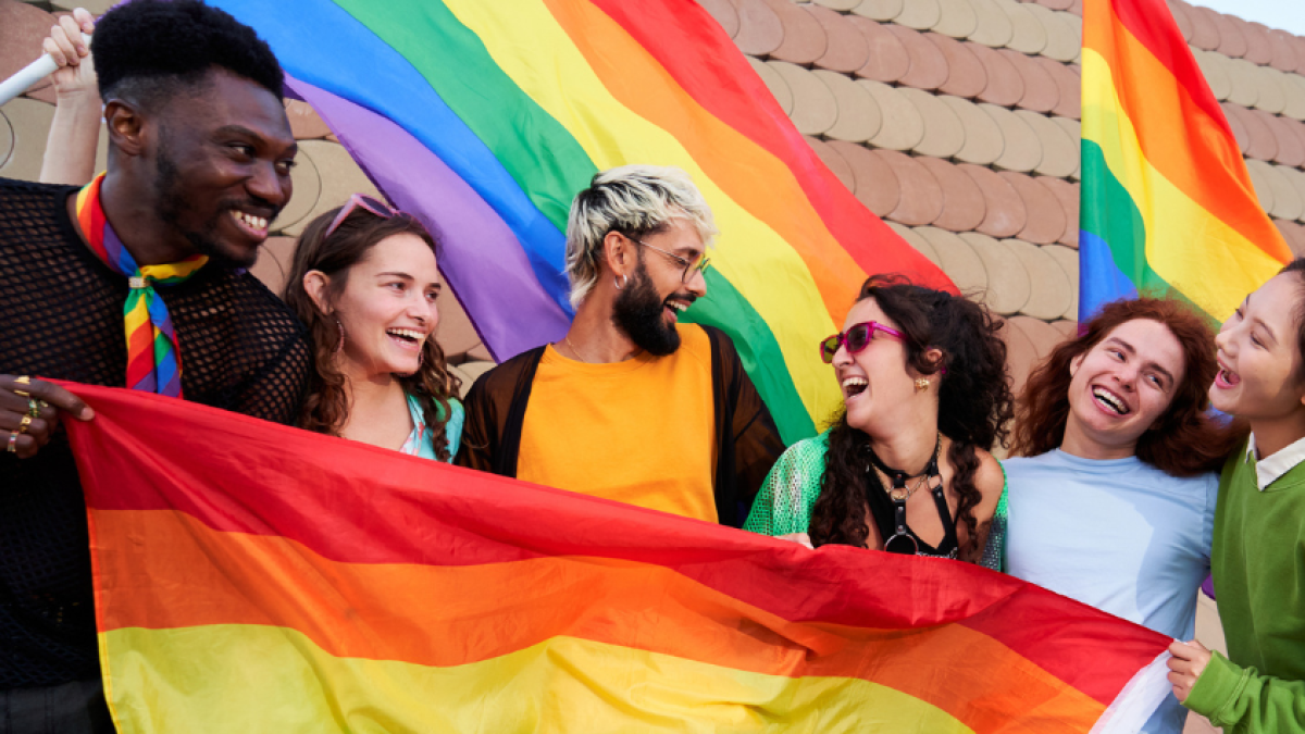 Bogotá es sede de Encuentro Internacional de Experiencias En Servicios y Polyticas para Las Personas Lgbti