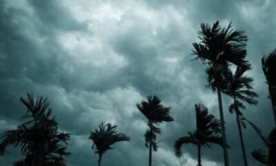 Así Vigilará la DiMar El Fenómeno