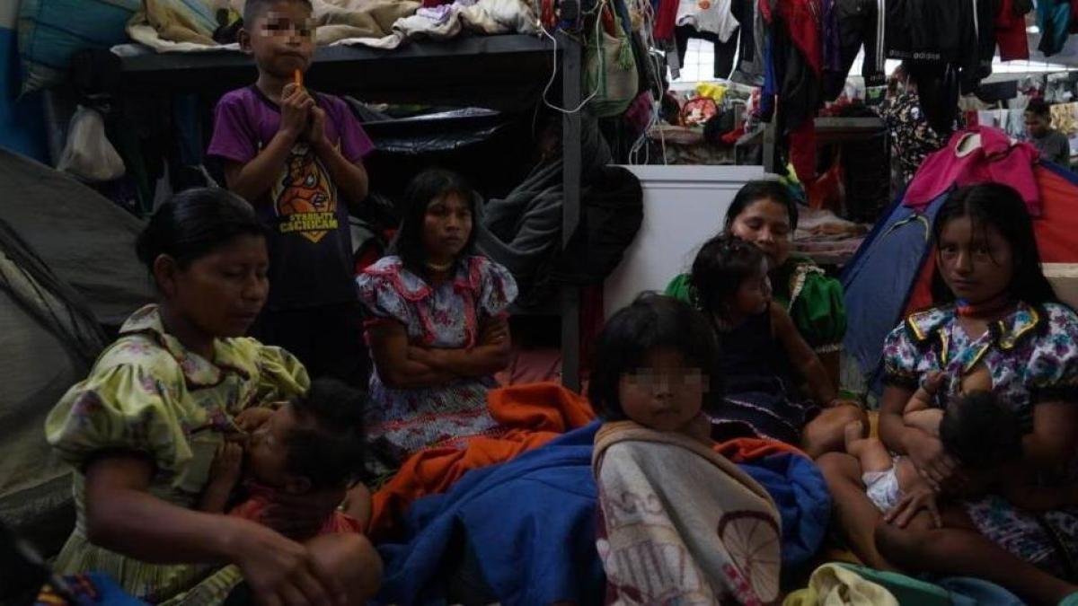 La Crisis Humanitaria Emberá Se Desdibuja Por Líderes Que Viven de Ayudas Víctimis A Mujeres y Niños