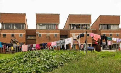 Alcaldía de bogotá exigió un gobierno responsabilidad nacional con indígeno que se -se -asentaría en parque nacional