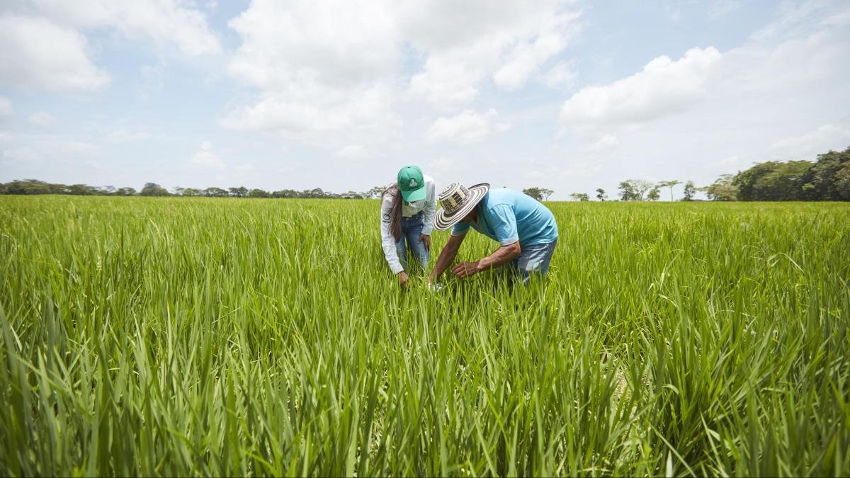 Foro en Villavicencio Reunirá Expertos del Agro