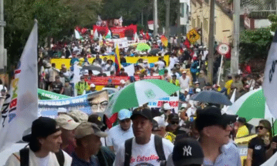 Horario, Punto de Concentración y Recorrido de las Marchas de Este 28 de Mayo