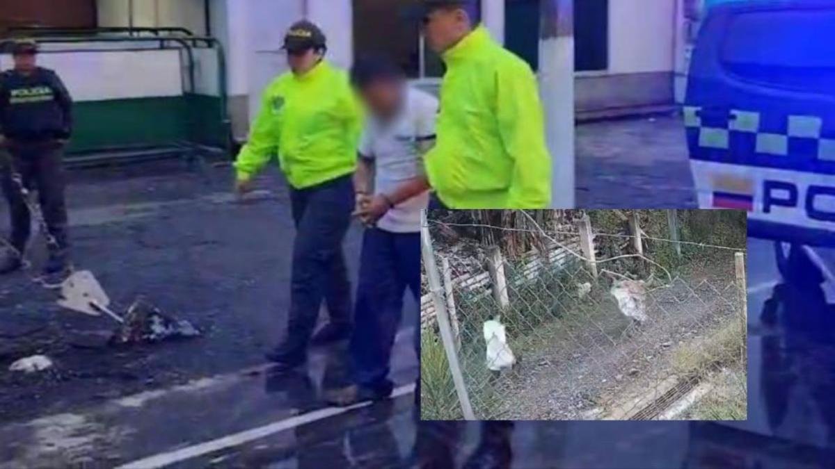 Juez no Imputó por tentata de feminicidio un pastor que habría violado a su hijastra en caldas, cavó un Hoyo