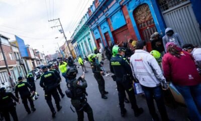 ¿Cuál es el perfil de las personas que buscan en bogotá?