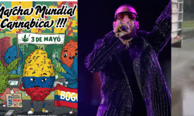 Marcha Mundial Por la Marihuana y Concierto de Maluma