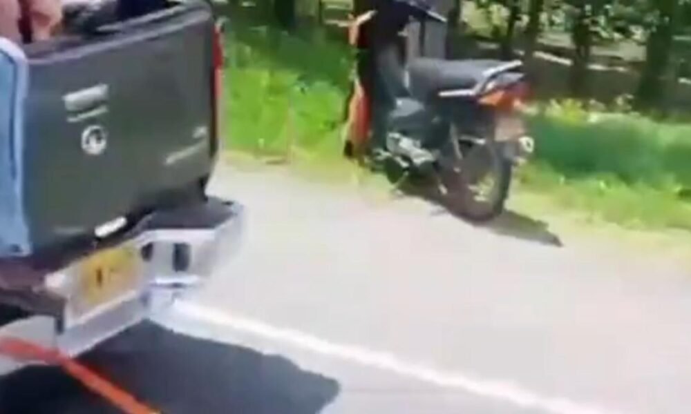 Autoridadas Investigan Vehículo que Habría Arrastrado A una vaca, tras accidente en vía de Palmira