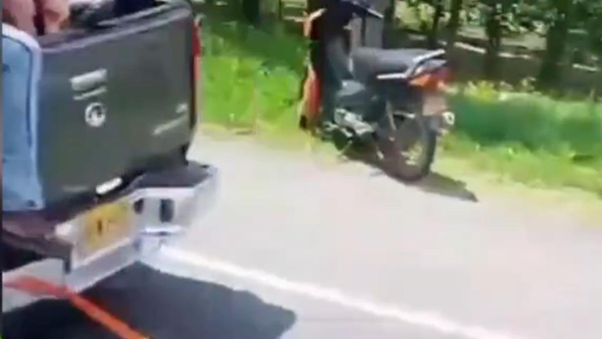 Autoridadas Investigan Vehículo que Habría Arrastrado A una vaca, tras accidente en vía de Palmira