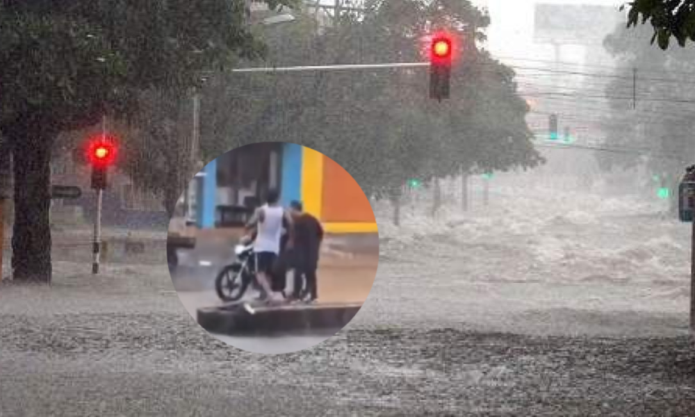 Atracos Callejeros y Peleas Entre Pandillas No Cesan