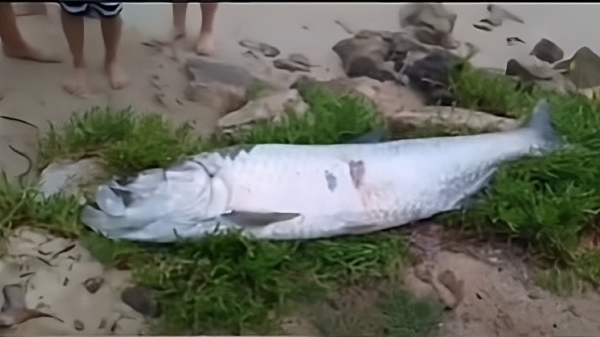 'Es un Orgullo ver lo que nuestras Aguas Pueden ofRece'