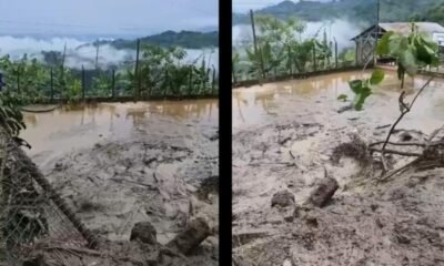 Lluvias en Quindío Dejan Vías Cerradas, Deslizamientos y 120 Familias Incomunicadas en Génova y Otras veredas