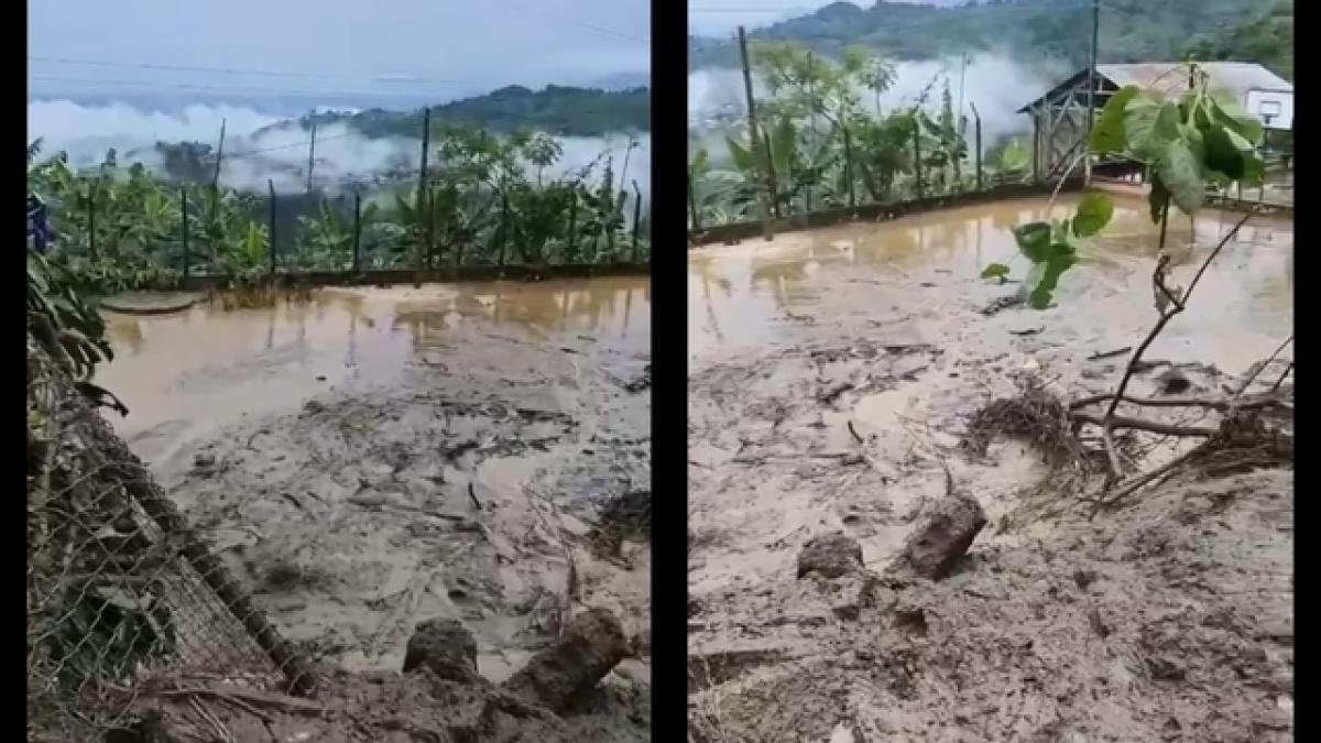 Lluvias en Quindío Dejan Vías Cerradas, Deslizamientos y 120 Familias Incomunicadas en Génova y Otras veredas