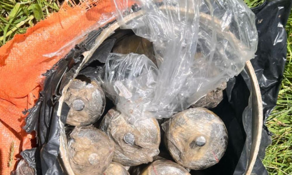 ¿Vuelve la alerta por presencia de disidencias de las Farc?