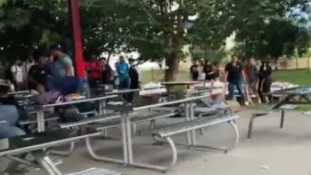 Las Medidas que Toma la Universidad del Valle Tras intento de feminicidios en el campus y Muerte del Agresor