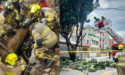 Estas hijo Las Otras Tareas de los Bomberos de Bogotá