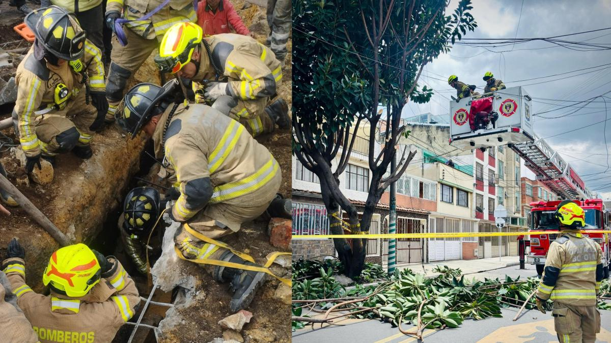 Estas hijo Las Otras Tareas de los Bomberos de Bogotá