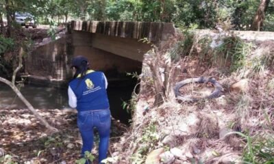 Uno, Que Pertenecería Al 'Zarco', Estaba Decapitado y Otro Estaba Desmembrado